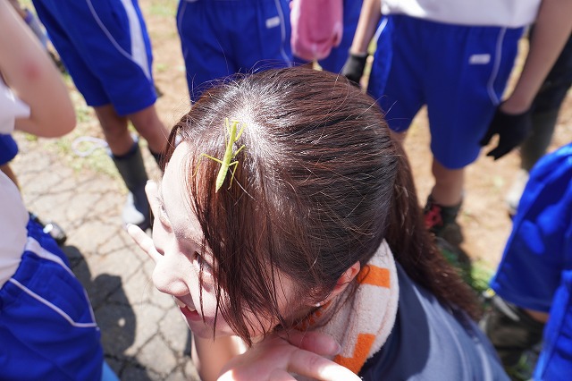 写真：カマキリを載せられた女性